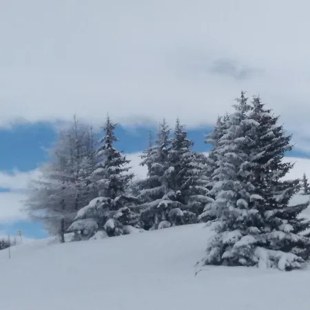 Marmotte : Nid Douillet Centre De Valloire, été / Hiver 4p